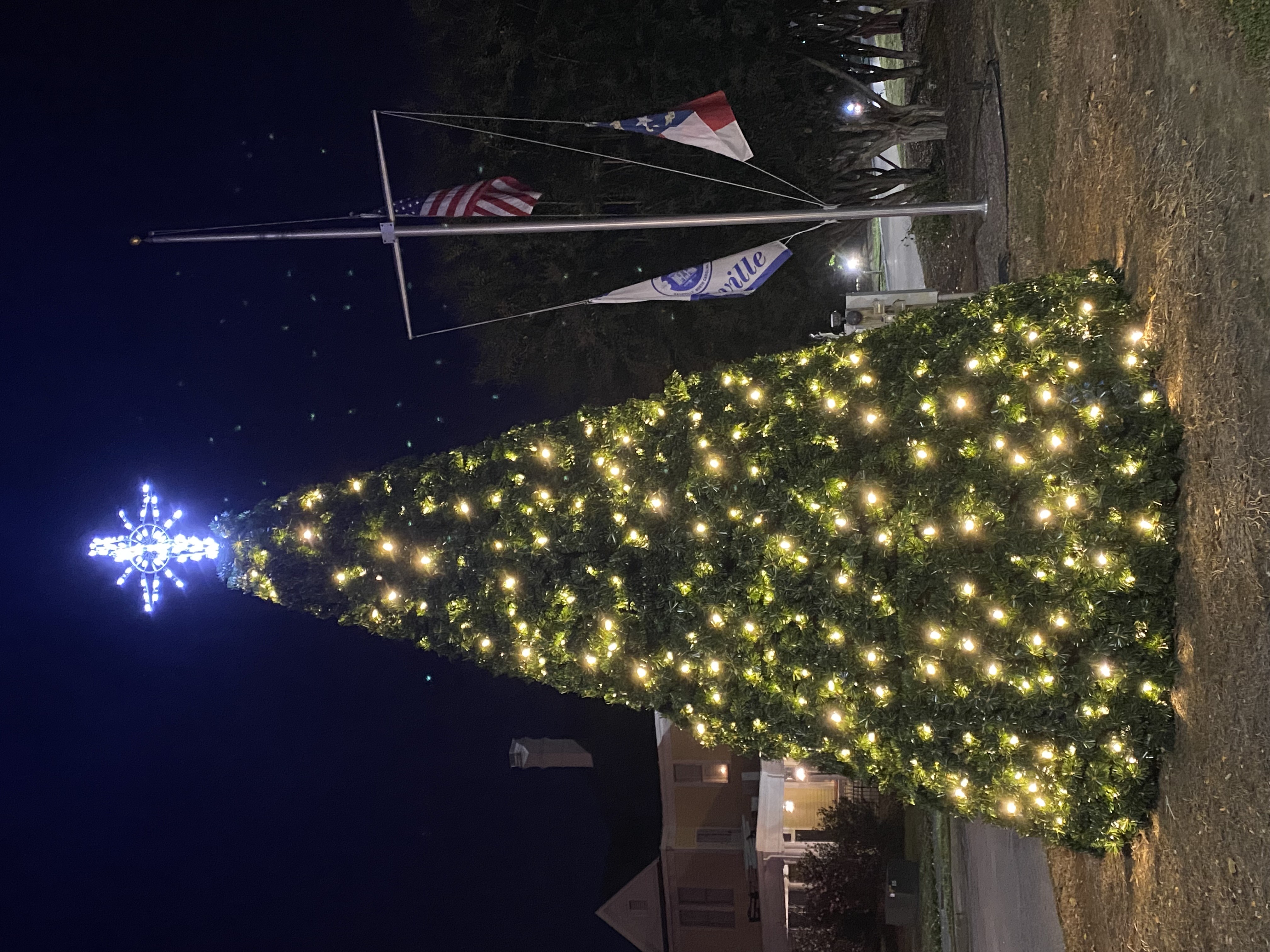 christmastreengiht.jpeg