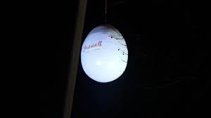 egg drop 2.jpg